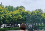 美女就是不一样，秀色可餐