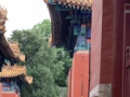 属于北京的美 红墙黄瓦，自带历史的美感，怎么看都看不腻～ #日常分享 #国子监 #多走走多看看 #夏季穿搭 关注