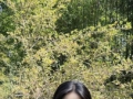 夏季公园拍照，简单几个姿势，自然显身材