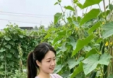 你会介意找一个农村姑娘做老婆吗?