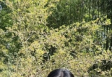 夏季公园拍照，简单几个姿势，自然显身材