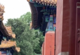 属于北京的美 红墙黄瓦，自带历史的美感，怎么看都看不腻～ #日常分享 #国子监 #多走走多看看 #夏季穿搭 关注