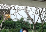 揽山河：你闻 今晚的风是杜鹃花香。#海边穿搭无不良影响 #看海