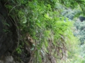 静心瑜伽接住秋天 山野的