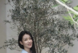雅致衣集金秘书穿搭