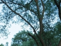 雨季街拍，御姐感拉满了
