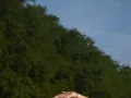 旅游美照随手拍 ，连心情都变得明亮起来。 ​​​