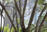 城市盲拍客：爱上自己的那一天 人生才刚开始