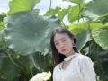 赏一池青莲，渡半日清闲