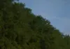 旅游美照随手拍 ，连心情都变得明亮起来。 ​​​