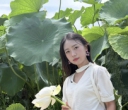 赏一池青莲，渡半日清闲