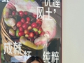 一些照片合集