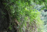静心瑜伽接住秋天 山野的