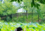 治愈系镜头