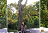 微胖姐姐公园拍照，7个简单动作，松弛漂亮，温柔大方有氛围