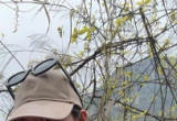 行途见闻记徒步运动