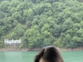 闲游享四方翠翠森林—生命力的颜色