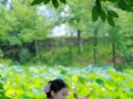 治愈系镜头