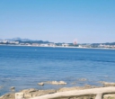 三毛流浪记看海。