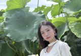 赏一池青莲，渡半日清闲