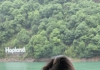 闲游享四方翠翠森林—生命力的颜色