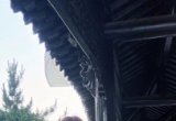 女人味是什么味，这几张图十足