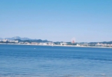 三毛流浪记看海。