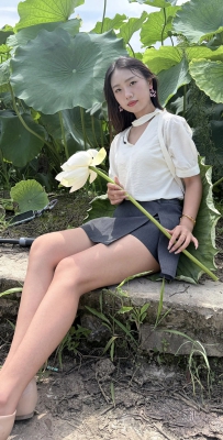 赏一池青莲，渡半日清闲